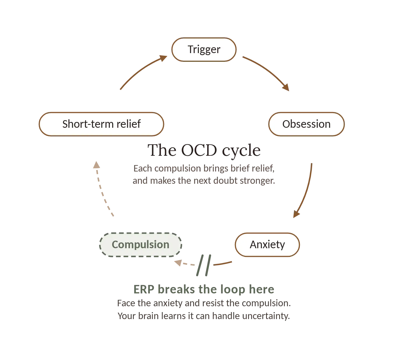Diagram of the OCD cycle: Trigger leads to Obsession, Anxiety, Compulsion, and Short-term relief. ERP breaks the loop between Anxiety and Compulsion so your brain learns it can handle uncertainty.